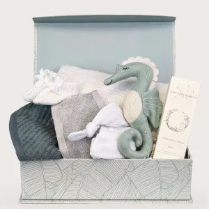 Sensory New Baby Gifts Box Hamper Dandelion Dream