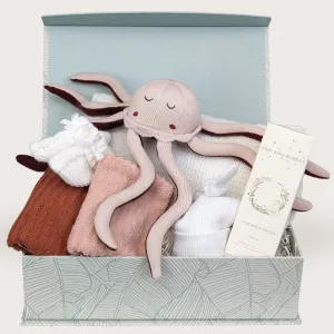 Sensory New Baby Girl Gifts Box Hamper Hush Little Rose